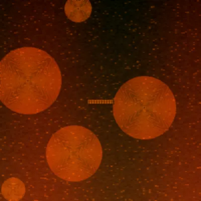 pc28.com极速赛车火焰轮胎图标